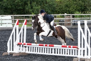 Class 4 - Fences 2'3 to 2'6